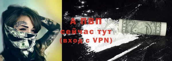 трава Гусиноозёрск