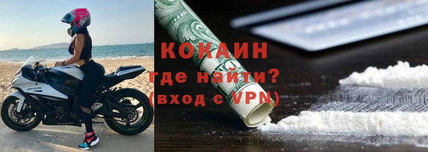 ешки Гусев