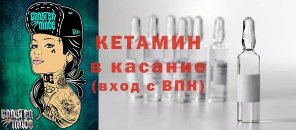 трава Гусиноозёрск