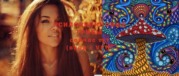 экстази Гусь-Хрустальный