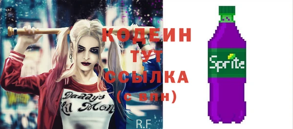 трава Гусиноозёрск