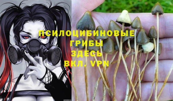 трава Гусиноозёрск