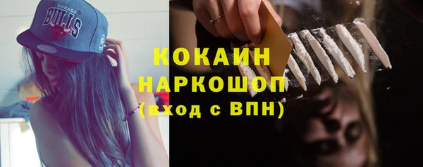 трава Гусиноозёрск