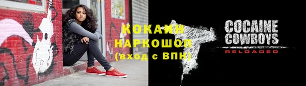 трава Гусиноозёрск