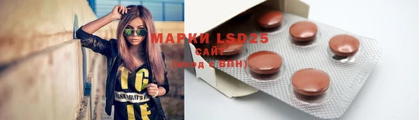 ешки Гусев