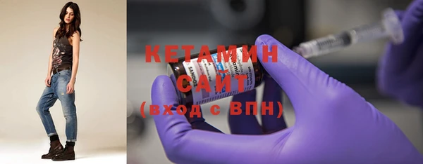 трава Гусиноозёрск