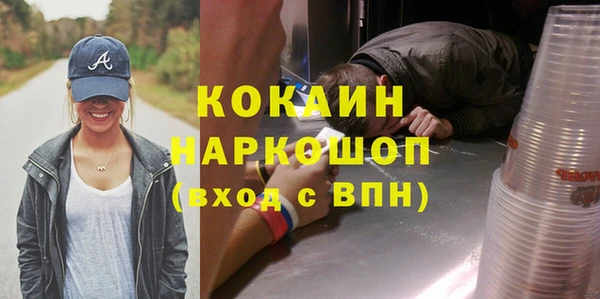 ешки Гусев