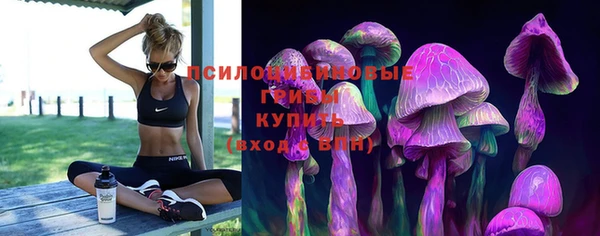 трава Гусиноозёрск