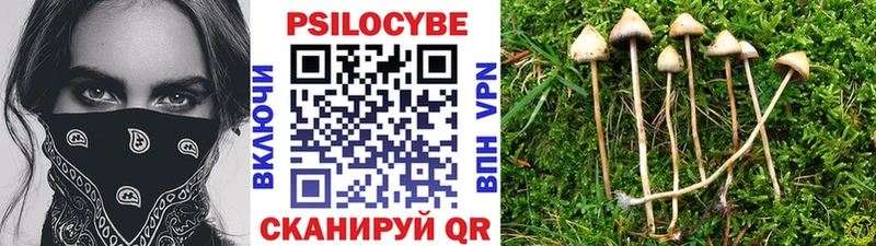 Купить  Кириллов  Псилоцибиновые грибы прущие грибы 